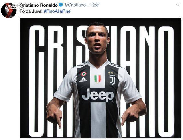 篮球篮网球迷线上投票结果揭晓（篮网球迷线上投票结果出炉）